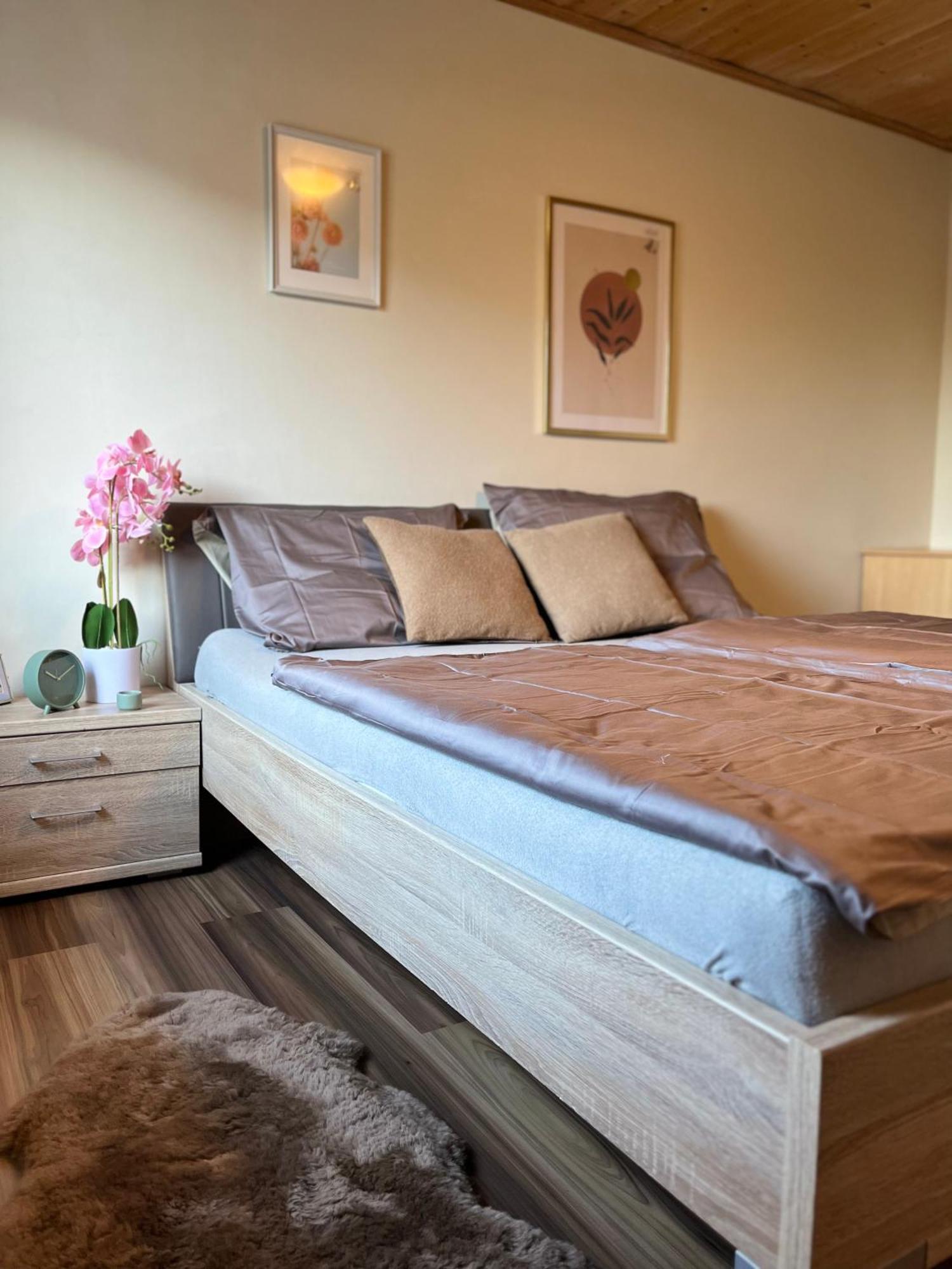Gemuetliche Wohnung/ Cozy Apartment Niklasdorf Luaran gambar